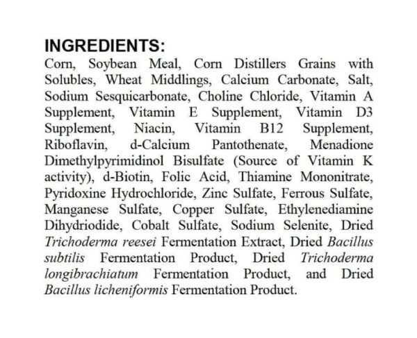 Protein Layer Crumbles Chicken Feed - Image 2