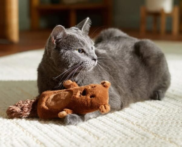 Camping Bear Kicker Cat Toy with Catnip - Image 2