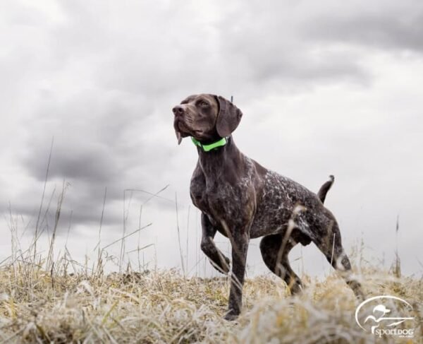 TEK Series 1.5 GPS Dog Tracking System - Image 2