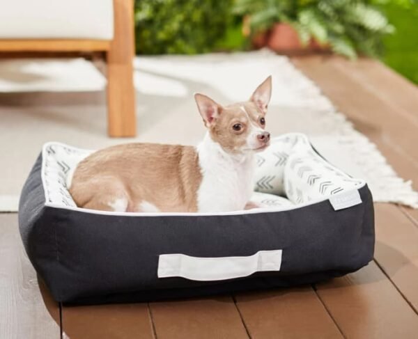 Royal Canin Modern Set for Dogs - Image 2