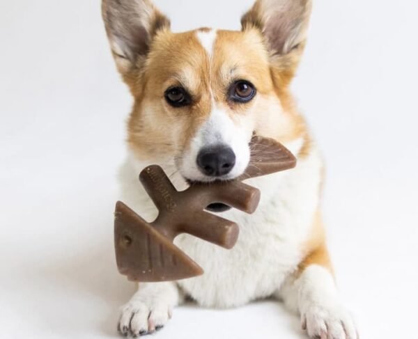 Benebone Fishbone Dog Chew Toy - Image 2