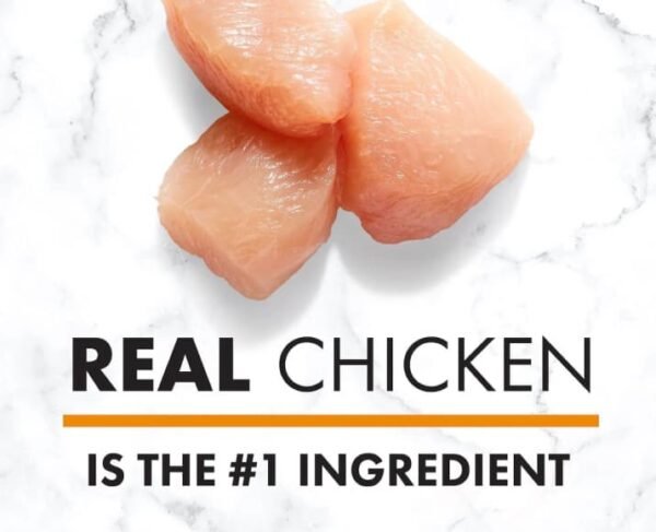 Nutro Natural Choice Adult Chicken - Image 3