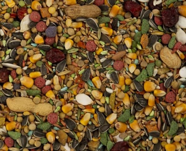 Advanced Nutrition Seed, Grain - Image 2