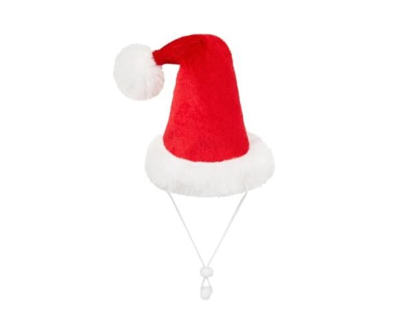 Holiday Guinea Pig Santa Hat - Image 2