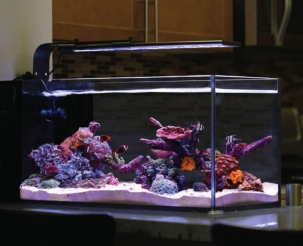 Aquarium Pack - Image 2