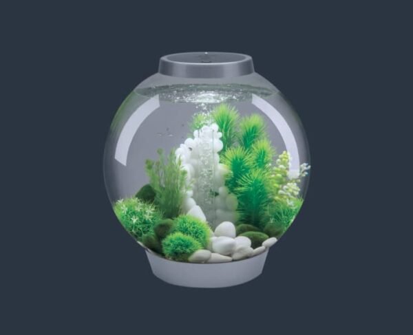 Classic LED Fish Aquarium - Image 2